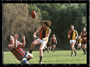 mickrossborough6.jpg